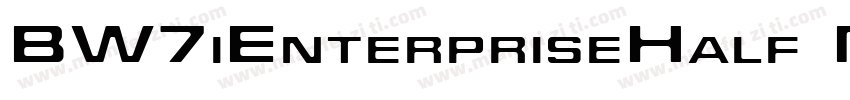 BW7iEnterpriseHalf M字体转换